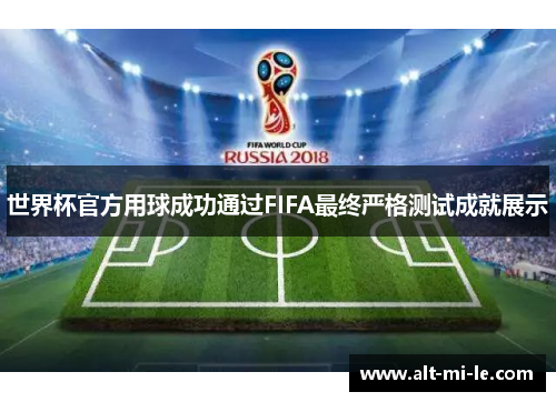 世界杯官方用球成功通过FIFA最终严格测试成就展示